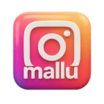 Mallu Reel Views